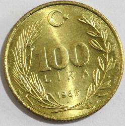 Türkiye Cumhuriyet 1989 Yılı 100 Lira     (9549)