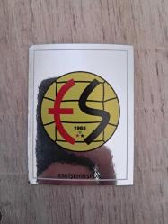 Panini çıkartma stickers Eskişehirspor Es-es