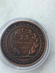 İMADEDDİN NESİMİ DOĞUMUNUN 650.YILI 2019, DARPHANE HATIRA BRONZ PARA