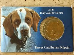 TARSUS ÇATALBURUN KÖPEĞİ 2021