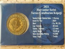 TARSUS ÇATALBURUN KÖPEĞİ 2021