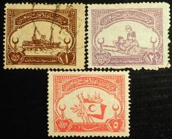 1923 TÜRKİYE HİLAL-İ AHMER CEMİYETİ ŞEFKAT PULLARI DAMGALI - DAMGASIZ TAM SERİ