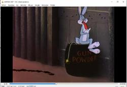 bugs bunny süper kahraman vcd  (PC'de denenmiştir/izlenmiştir)  all american hero vcd