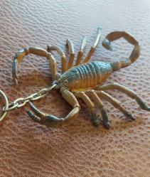 Akrep Burcu Anahtarlık. Gerçekçi Detay ve Eşsiz Görünüm. Çok Kaliteli, Esnek Sert Plastikten Üretilmiştir. 1980'lerden. Koleksiyonluk. (Çok Nadir)