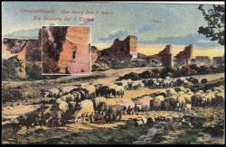 Osmanlı Constantinople İstanbulda koyun sürüsü otlatma kartpostal