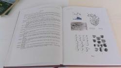 PISIDIA VE YAKIN ÇEVRESİNDEKİ ÜRETİM TİCARET VE EKONOMİ / PRODUCTION TRADE AND ECONOMY IN PISIDIA AND ITS SURROUNDING AREAS
