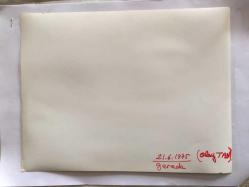 TÜRKİYE CUMHURİYETİ ESKİ BAŞBAKANI BÜLENT ECEVİT'İN OLAYLI GEREDE MİTİNGİNİN ORİJİNAL AJANS-BASIN BÜYÜK BOY FOTOĞRAFI - 24 x 18 cm EBADINDA - SALDIRI BAŞLADIĞINDA TABANCASINI ÇEKEREK BÜLENT ECEVİT'İ KORUMASI ALTINA ALIP OLAY YERİNDEN UZAKLAŞTIRMAYA ÇALIŞAN CHP ADIYAMAN MİLLETVEKİLİ DOKTOR KEMAL TABAK OLDU (AÇIKLAMAYI OKUYUNUZ)