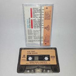 Kaset Yeni türkü, günebakan albümü. Kağıt Baskı !kaset ve kartonette yazı var
