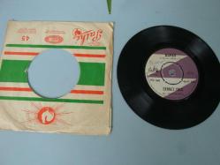 ALPAY ( ALPAY NAZİKİOĞLU ) 