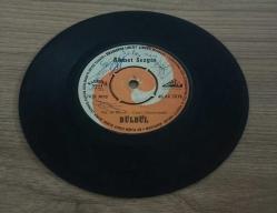 AHMET SEZGİN-BÜLBÜL