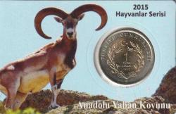 Anadolu Yaban Koyunu