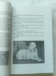 Dünya Çoban Köpeği Irkları