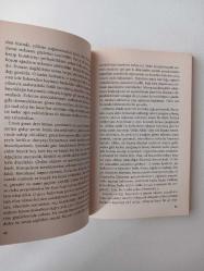 Puslu Kıtalar Atlası