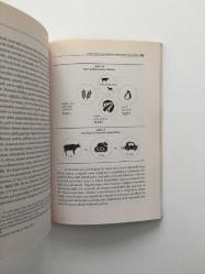 Sürdürülebilir Toplum ve Yapılı Çevre - Stratejiler Yelpazesi