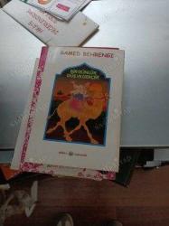 BİR GÜNLÜK DÜŞ VE GERÇEK