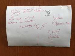 VAKKO'NUN KURUCUSU VİTALİ HAKKO'NUN ORİJİNAL AJANS-BASIN 5'Lİ FOTOĞRAF SETİ  - 18 x 12 cm EBADINDA - VİTALİ HAKKO'NUN OĞLU CEM HAKKO'NUN İSVİÇRELİ BETTINA MACHLER İLE DÜĞÜNÜNDE ÇEKİLMİŞ 5 FARKLI KARE, 22 TEMMUZ 1983