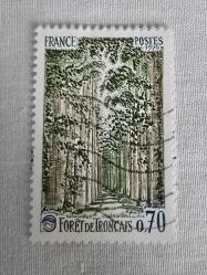 Fransa Forêt de Tronçais (Tronçais Ormanı).