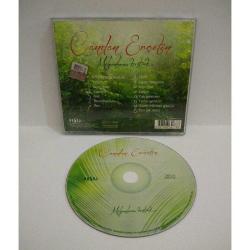 Cd Candan Erçetin, Milyonlarca Kuştuk Albümü. Orijinal. Sorunsuz çalışıyor.