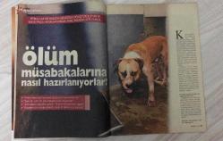 HAFTALIK HABER DERGİSİ – SAYI: 170 – 7–13 TEMMUZ 2006 – 96 SAYFA – TARİKAT ŞEYHİ HARUN HOCA’NIN FOTOĞRAFLARI BASINDA İLK KEZ – TÜRKİYE’DE SOL NEDEN İKTİDAR OLAMIYOR? – METİN AKPINAR SİYASETE GÖZ KIRPIYOR – GENELKURMAY BAŞKANLIĞI İÇİN BÜYÜKANIT TARTIŞMASI – ABD VE AB ARASINDA GÜÇ MÜCADELESİ – POPSTAR C.A.’NIN MARILYN MONROE POZLARI – LUCID DREAMING YÖNTEMİYLE RÜYA KONTROLÜ – RÜYADA ATATÜRK’LE TARTIŞANLAR, ANGELINA JOLIE İLE GECE GEÇİREN TÜRKLER – 10 MADDEDE ERKEKLER NE ANLATMAK İSTİYOR? – EBRU CÜNDÜBEYOĞLU’NDAN ANNELİK VE DİZİ İTİRAFLARI – ELMAS KARTELİ: MADEN İŞÇİLERİNİN HAYAT PAHASINA ÇIKARDIKLARI DEĞER – FİŞLEME DOSYASI: ÖZEL HARP TAVSİYELERİ – KANSAS CITY VE DİYARBAKIR KARDEŞ ŞEHİR BAĞLANTISI – SİYASET – YAŞAM – KÜLTÜR – TELEVİZYON – RÖPORTAJ – SPOR – EKONOMİ – MÜZİK – SİNEMA – KİTAP – ASTROLOJİ – MODA – BULMACA – YAŞAM DESTEK ÜNİTESİ – YÜKSEK İRTİFA – ANKARA SARRAFI – FEŞİN Tİ Vİ – FAL – SELAHATTİN DUMAN – METİN AKPINAR – HARUN HOCA – C.A. – EBRU CÜNDÜBEYOĞLU – YAŞAR BÜYÜKANIT