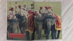 HAFTALIK HABER DERGİSİ – SAYI: 190 – 23–29 KASIM 2006 – 96 SAYFA – TÜRKİYE’NİN GÜNAH KEÇİLERİ: BU YIL HINCIMIZI ONLARDAN ALDIK – NURSELİ İDİZ’İN KIZI ANNEMİN ALKOL SORUNUNU ANLATIYOR – MECLİSTE VEDA EDEN VEKİLLER – KÂİNAT GÜZELİ PINTO TÜRKİYE’YE YERLEŞİYOR – TÜRK BASININDA KALEM KAVGALARI: EN EDEPLİDEN EN KÜFÜRLÜYE – “PARDON MU TEVELLÜT?”: YAŞ TARTIŞMALARI VE MEDYA ÇEKİŞMELERİ – DENİZ AKKAYA TÜRKİYE’NİN EN GÜZEL KADINLARINDAN BİRİ OLARAK YAŞAMINI ANLATIYOR – HAFTANIN FOTOĞRAFI – 7 GÜN 7 NOT – YÜKSEK İRTİFA – DÜNYA – ANKARA SARRAFI – KİTAP – SİNEMA – MÜZİK – DVD – TREND – SPOR – SUDOKU – OKAY GÖNENSİN – DENİZ ÜNALDI – SEDAT SERTOĞLU – EMEL LAKSE – BİLAL ÇETİN – BARIŞ TUT – KUTLUKHAN PERKER – NURSELİ İDİZ – PINTO – DENİZ AKKAYA