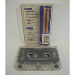 Kaset Sibel Alaş, Adam Albümü