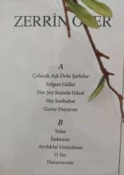 Zerrin ÖZER, ZERRİN ÖZER-SEVGİLER, O YAZ, HERŞEY SENİNLE GÜZEL.LONG PLAY 33'lük. Plak.