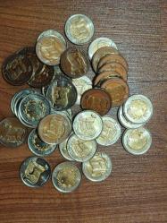 Hayvanlar Serisi 1 Lira Anadolu Parsı