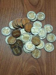 Hayvanlar Serisi 1 Lira Anadolu Parsı