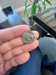 ABD 1923 YILI 5 CENT