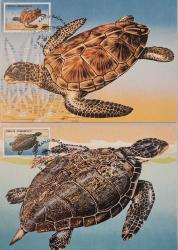 1989 Deniz Kaplumbağaları Tam Set - 2 ADET  Maksimumkart -  Pullu İlk Gün Damgalı