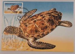 1989 Deniz Kaplumbağaları Tam Set - 2 ADET  Maksimumkart -  Pullu İlk Gün Damgalı