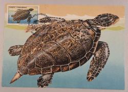 1989 Deniz Kaplumbağaları Tam Set - 2 ADET  Maksimumkart -  Pullu İlk Gün Damgalı