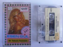 Efemera - Bir Yoksula Rasladım - Esengül / Uzelli - kitantik - kitaLog