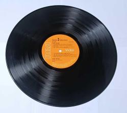 CARL WAYNE - CARL WAYNE 33'LÜK LP PLAK 10/9,5 KONDİSYONDA