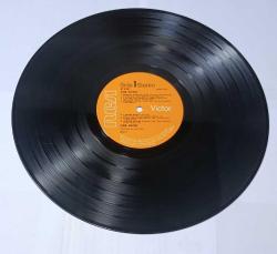 CARL WAYNE - CARL WAYNE 33'LÜK LP PLAK 10/9,5 KONDİSYONDA