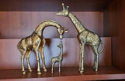 PİRİNÇ ZÜRAFA AİLESİ