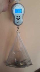 PİRİNÇ ZÜRAFA AİLESİ