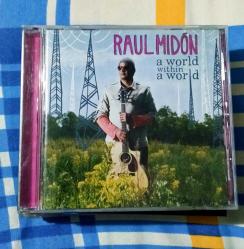 Raul midon - a world within a world