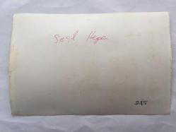 TÜRK SANAT MÜZİĞİ SANATÇISI SEÇİL HEPER'İN ORİJİNAL FOTOĞRAFI -18 x 12 cm  EBADINDA - SEÇİL HEPER DOSTLARIYLA AKŞAM PİKNİĞİ YAPARKEN ÇEKİLMİŞ BİR FOTOĞRAF