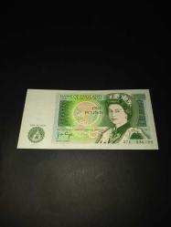 LOT.6 » İngiltere 1 Pound, Newton Arka Yüzlü