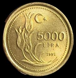 1995 5000 Lira kalın