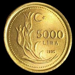 1995 5000 Lira kalın