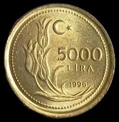 1996 5000 Lira kalın