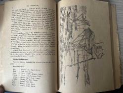 Eski İstanbul Yaşayışı