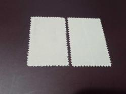 1950 - DÜNYA GENÇLİK BİRLİĞİ (WAY) II. KONSEY TOPLANTISI