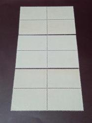 1963 - TÜRK NÜKLEER ARAŞTIRMA MERKEZİ'NİN AÇILIŞININ 1. YILI