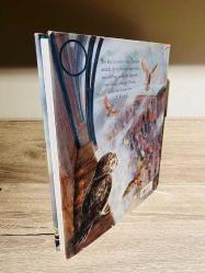 1. Baskı ! Harry Potter ve Felsefe Taşı  (Resimli Özel Baskı, Ciltli)