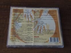 BİROL TOPALOĞLU ARAVANİ  .. DÖNEM BASKISI MÜZİK CD SİDİR.
