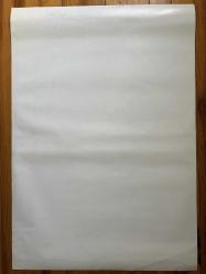 Kayıp Dünya: Jurassic Park (The Lost World, 1997) – Orijinal Film Afişi / Steven Spielberg