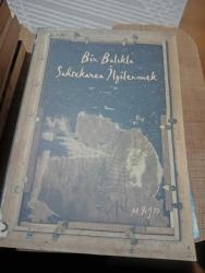 Bir Balıkla Sahtekarca İlgilenmek